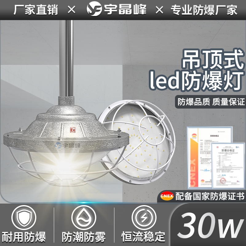 吊顶式防爆灯-30w