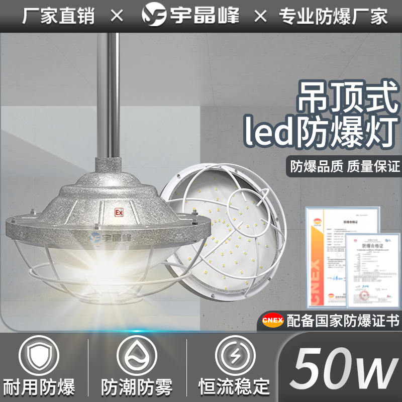吊顶式防爆灯-50w