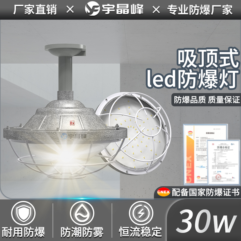 吸顶式防爆灯-30w