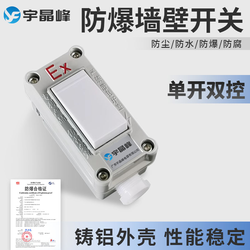 单开双控10A