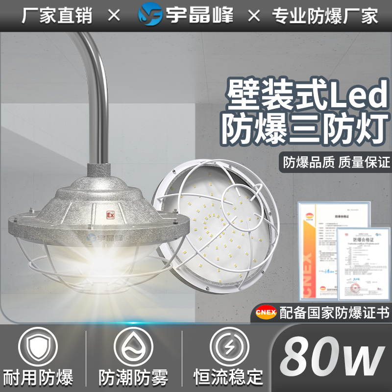 壁装式防爆灯-80w