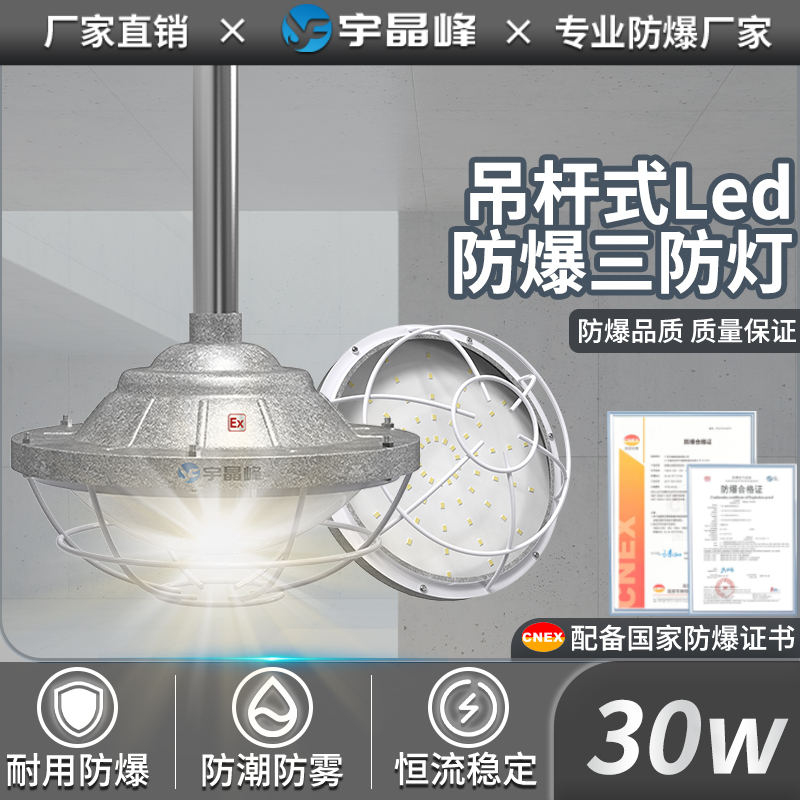 吊杆式防爆灯-30w