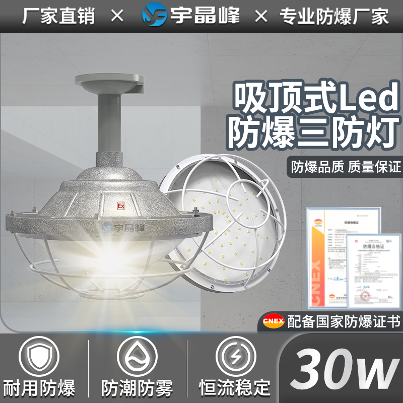 吸顶式防爆灯-30w