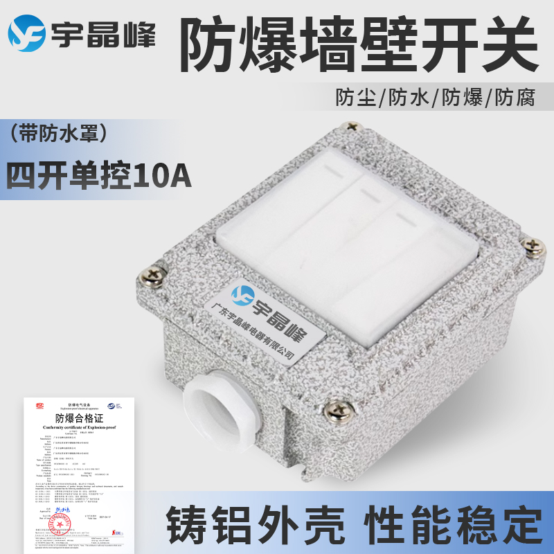 四开单控10A（带防水罩）